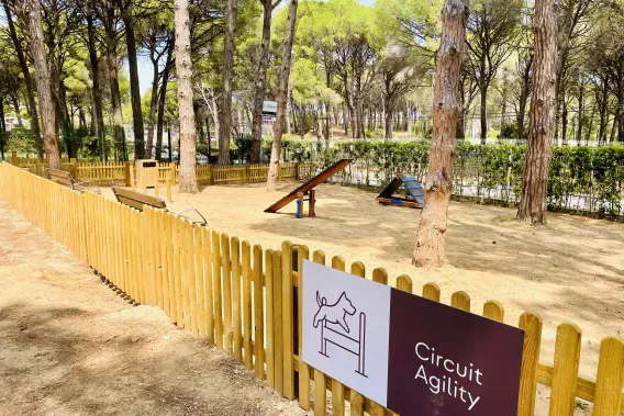 Agility-Parcours für Hunde