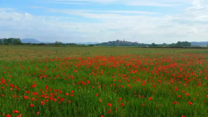 Rutas de senderismo y ciclismo en Pals