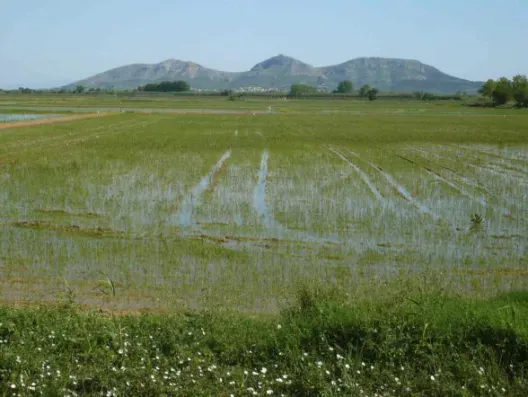 Rutas de senderismo y ciclismo en Pals